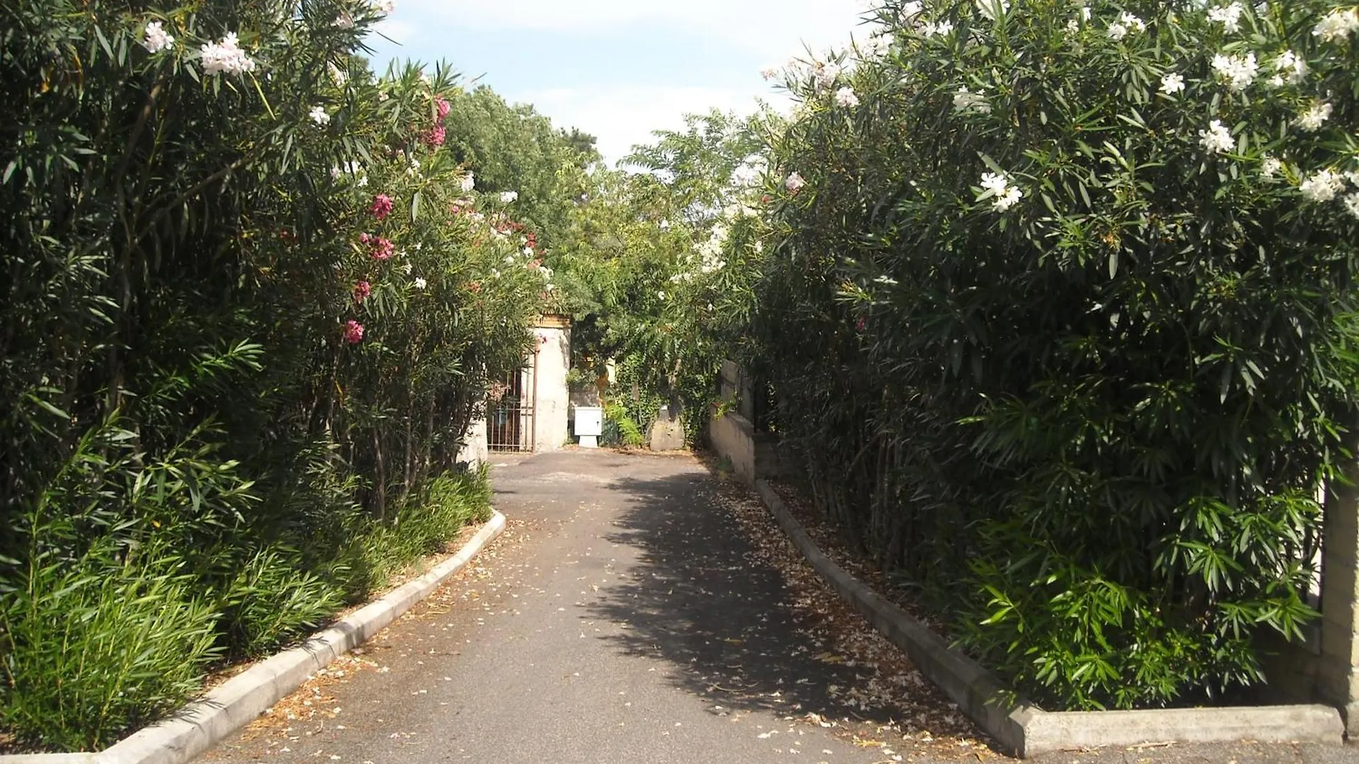 Studioflat Battistini Rome Italy